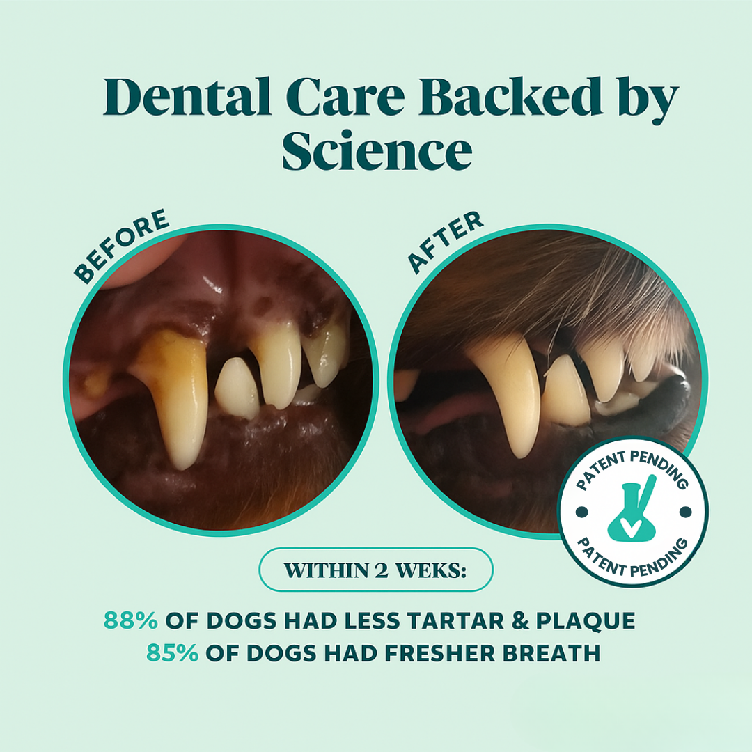 FreshBuddy™ Dog Dental Powder