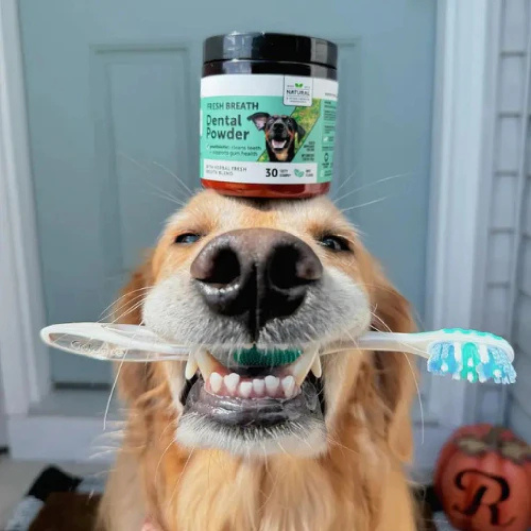 FreshBuddy™ Dog Dental Powder